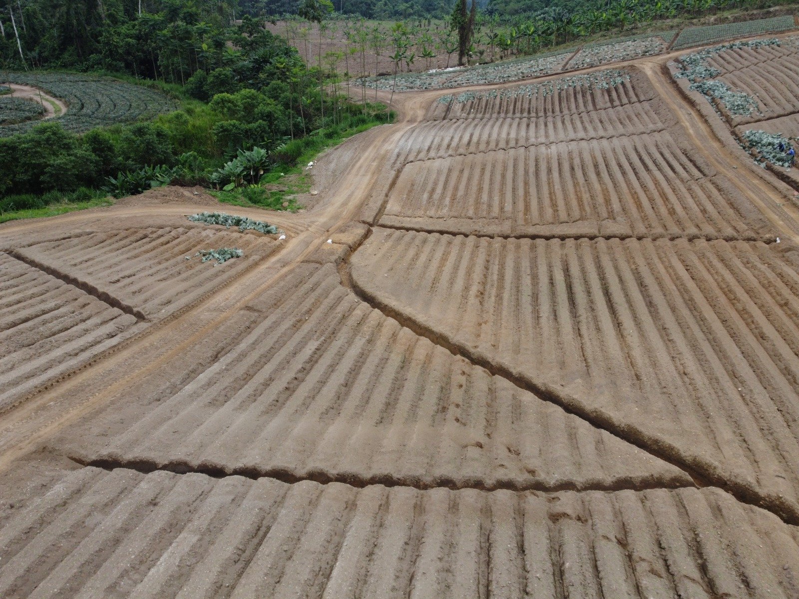 Preparación del suelo